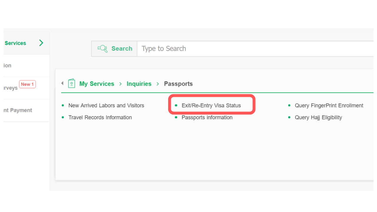 Check Your Exit Reentry Visa Status In Ksa 2024   2 